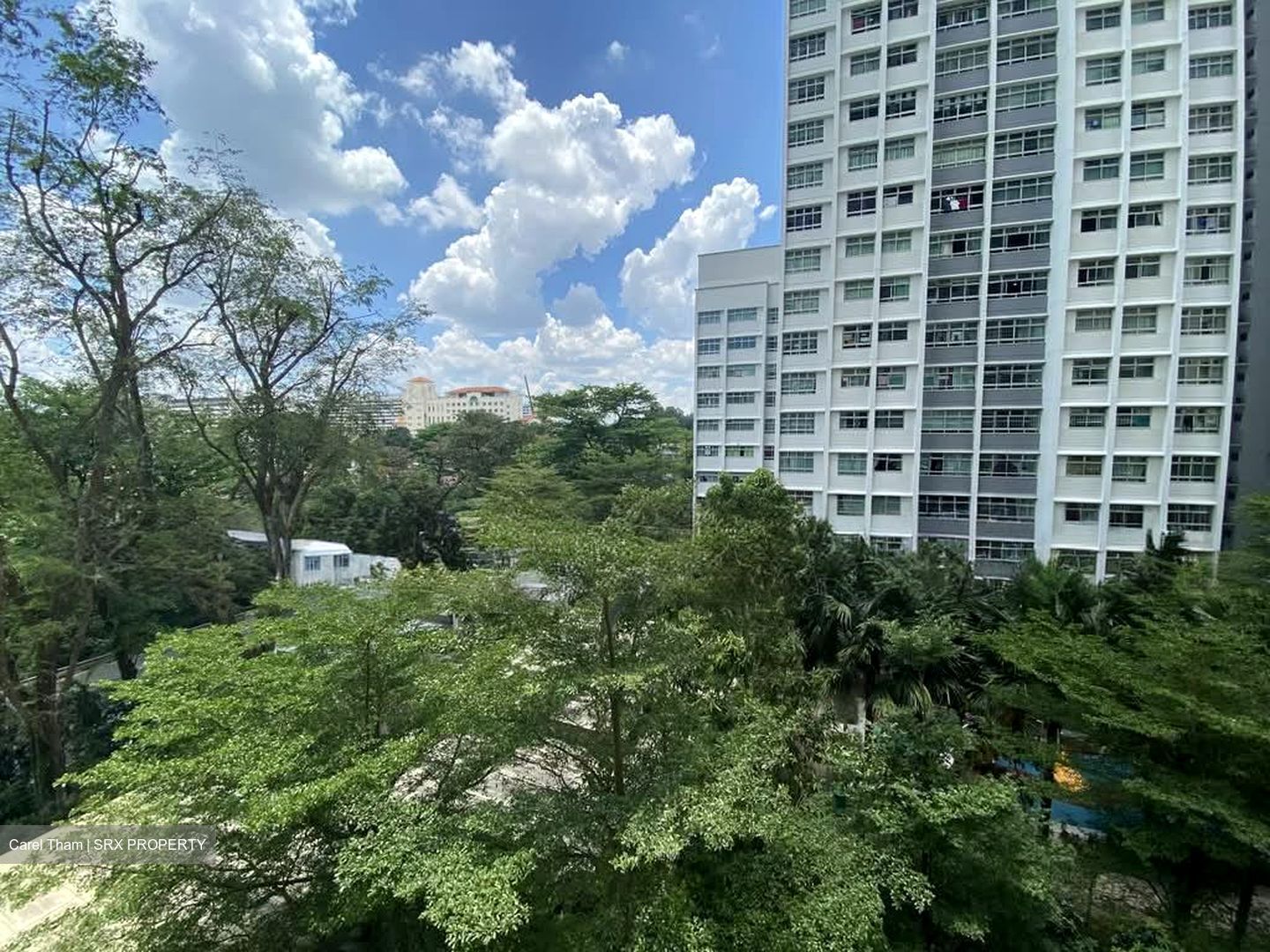 Blk 18C Buona Vista Court (Queenstown), HDB 5 Rooms #543786221